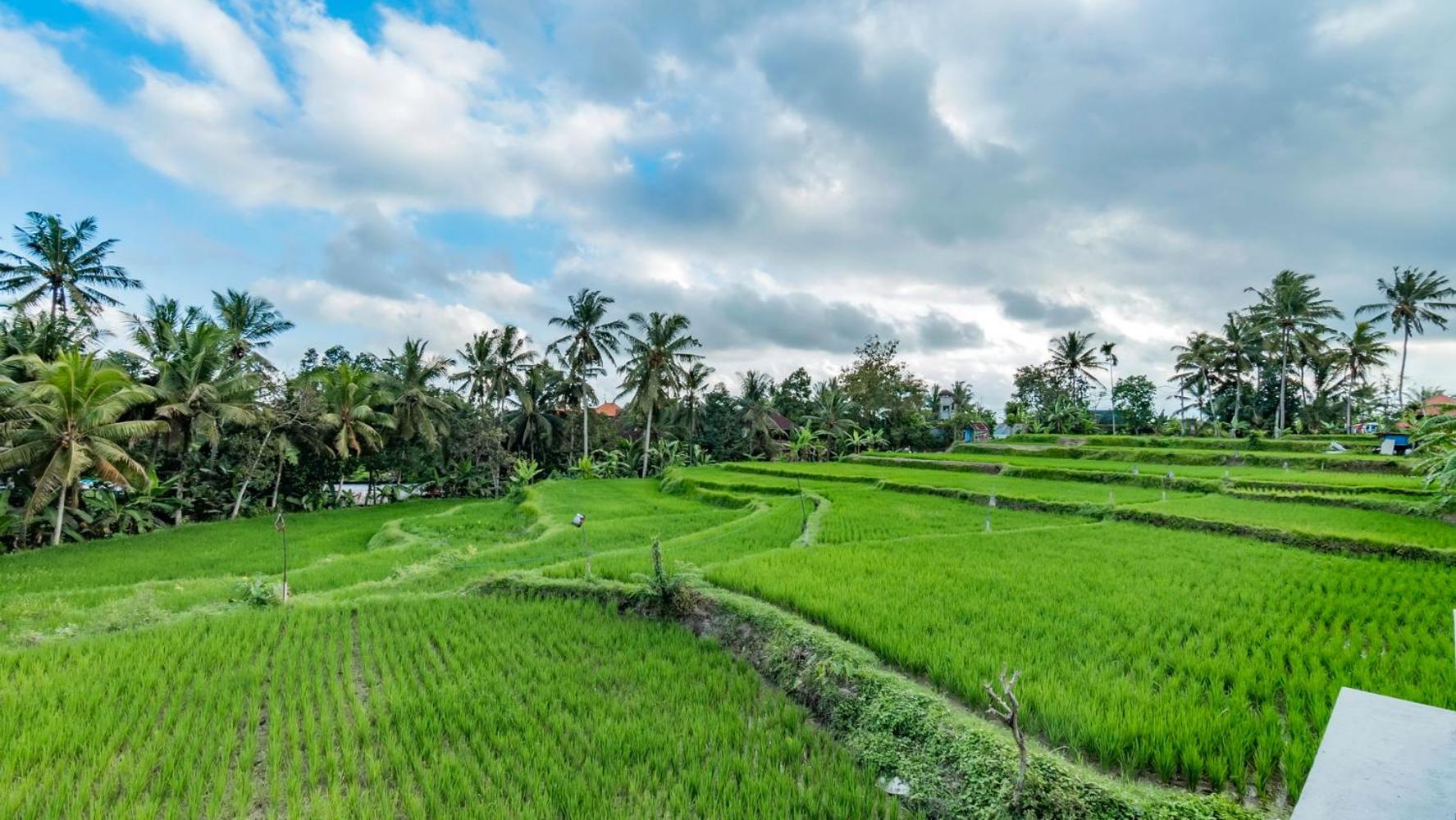 As I Am Ubud Retreat エクステリア 写真