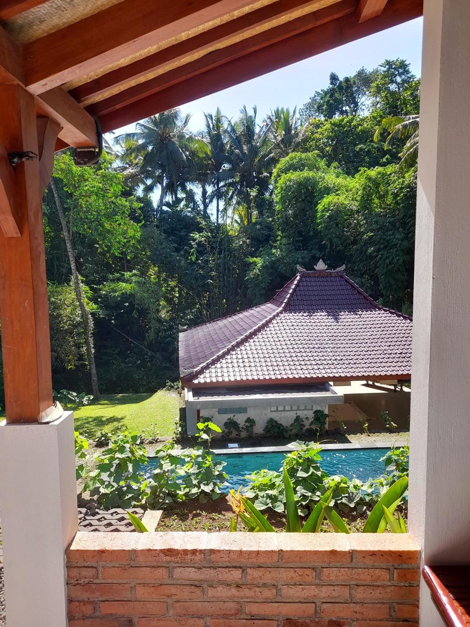 As I Am Ubud Retreat エクステリア 写真